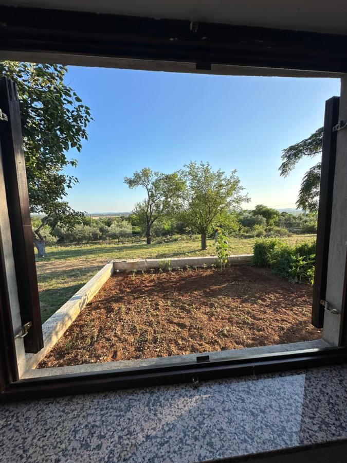 Relax And Unwind: Family-Friendly House Near Zadar In Zagrad Villa Bagian luar foto